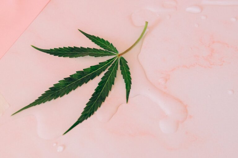 Lire la suite à propos de l’article Comment faire de la pub pour le CBD ?