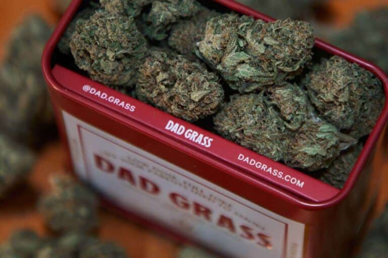 Lire la suite à propos de l’article Quels sont les effets du CBD sur la santé ?